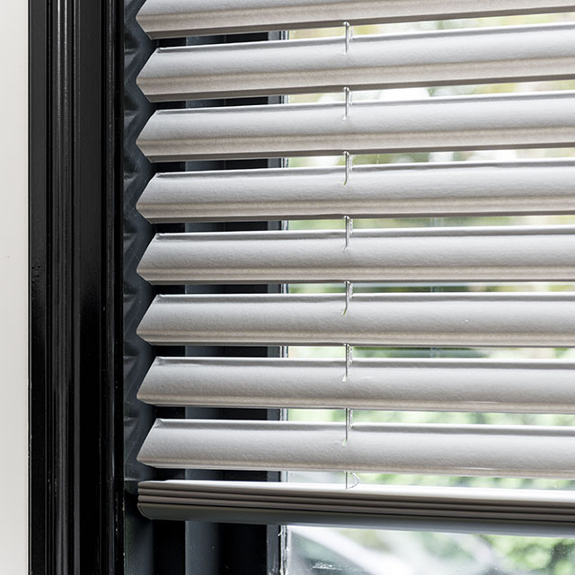 Vlinderjaloezieen (1)