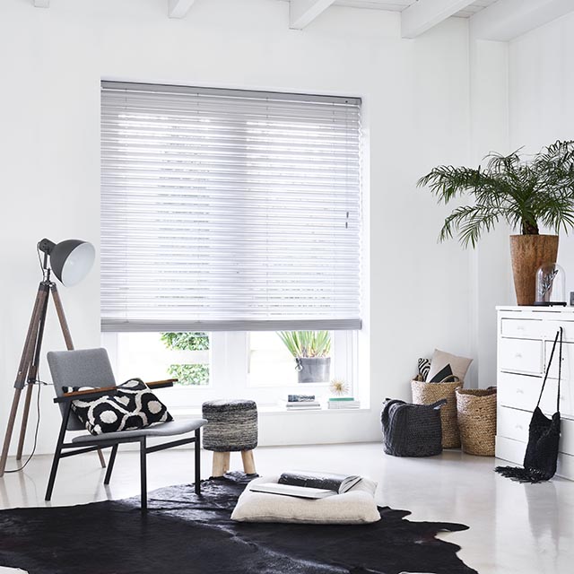 Vlinderjaloezieen (4)